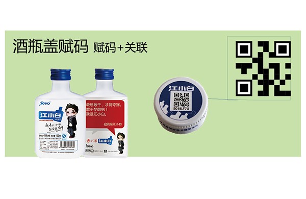 金屬平張可變數(shù)據(jù)噴印系統(tǒng)